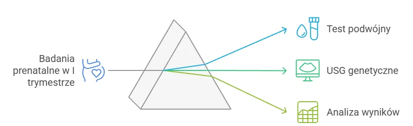 Badania prenatalne w I trymestrze